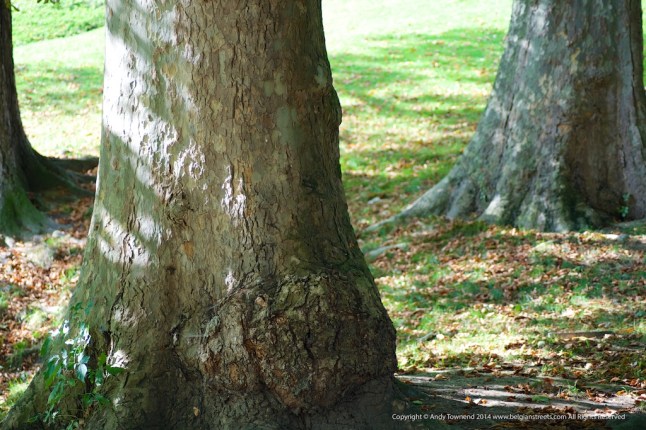 atownend_20140920_000052 - Version 2