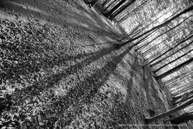 atownend_20141101_006124