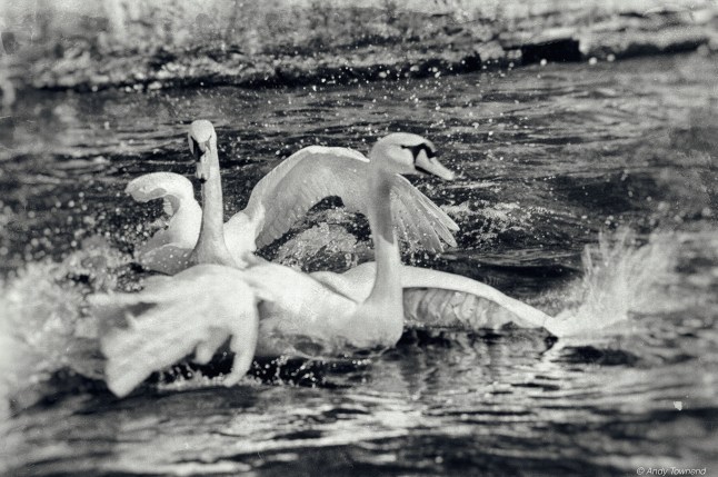 2015_04_18_01460-Edit