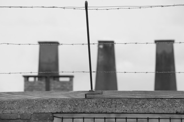 2015_07_12_03498-Edit